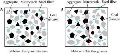 Mechanical properties and microscopic characteristics of steel fiber coal gangue concrete